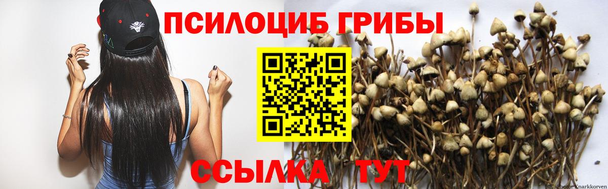 Ржев  Галлюциногенные грибы ЛСД  где купить наркотик  Псилоцибиновые грибы мухоморы  Вход с VPN 